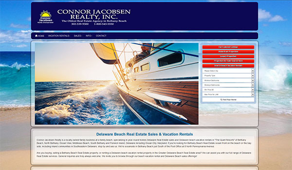 delaware web design project